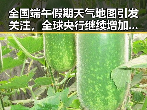 全国端午假期天气地图引发关注，全球央行继续增加黄金储备的背后逻辑
