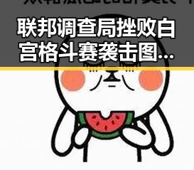 联邦调查局挫败白宫格斗赛袭击图谋引发社会关注同时中国女排土耳其站迎来开门红