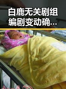 白鹿无关剧组编剧变动确蒙淇淇向白鹿道歉与春湘潭丨红色矩阵沉浸式思政课的反转对比