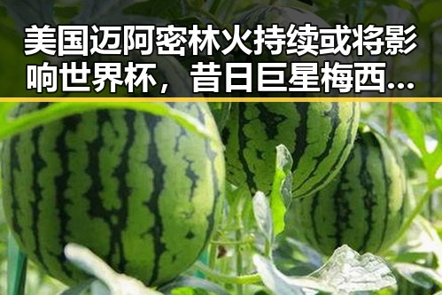 美国迈阿密林火持续或将影响世界杯,昔日巨星梅西C罗的最后舞台或添变数